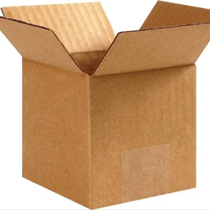Corrugated Carton
